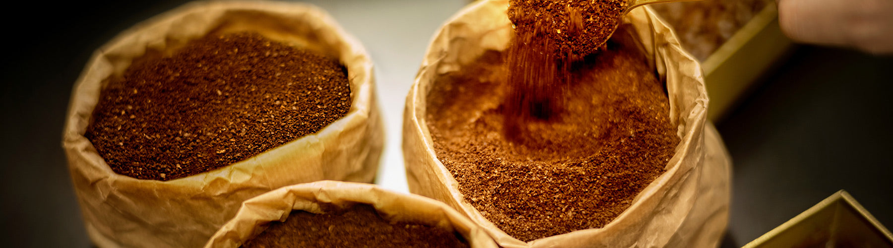 5 Interesting Facts About Coffee