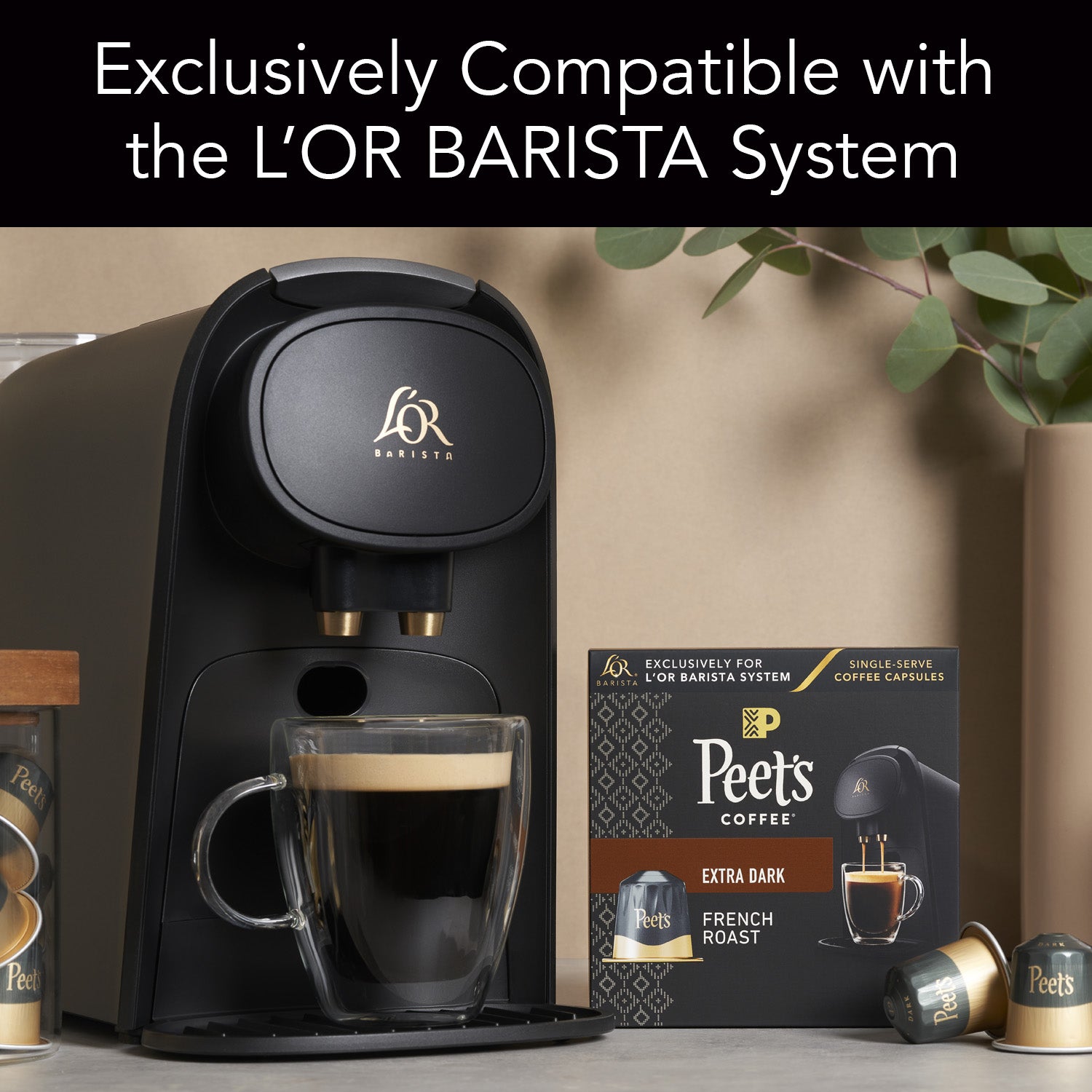 L'OR Barista Coffee Pods, Peet's Coffee French Roast - 30 Single-Serve  Capsules, Exclusively Compatible with L'OR BARISTA System, Brews 5 oz, 8  oz, 12