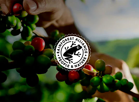Premium Coffee Grown by Rainforest Alliance Certified Farms