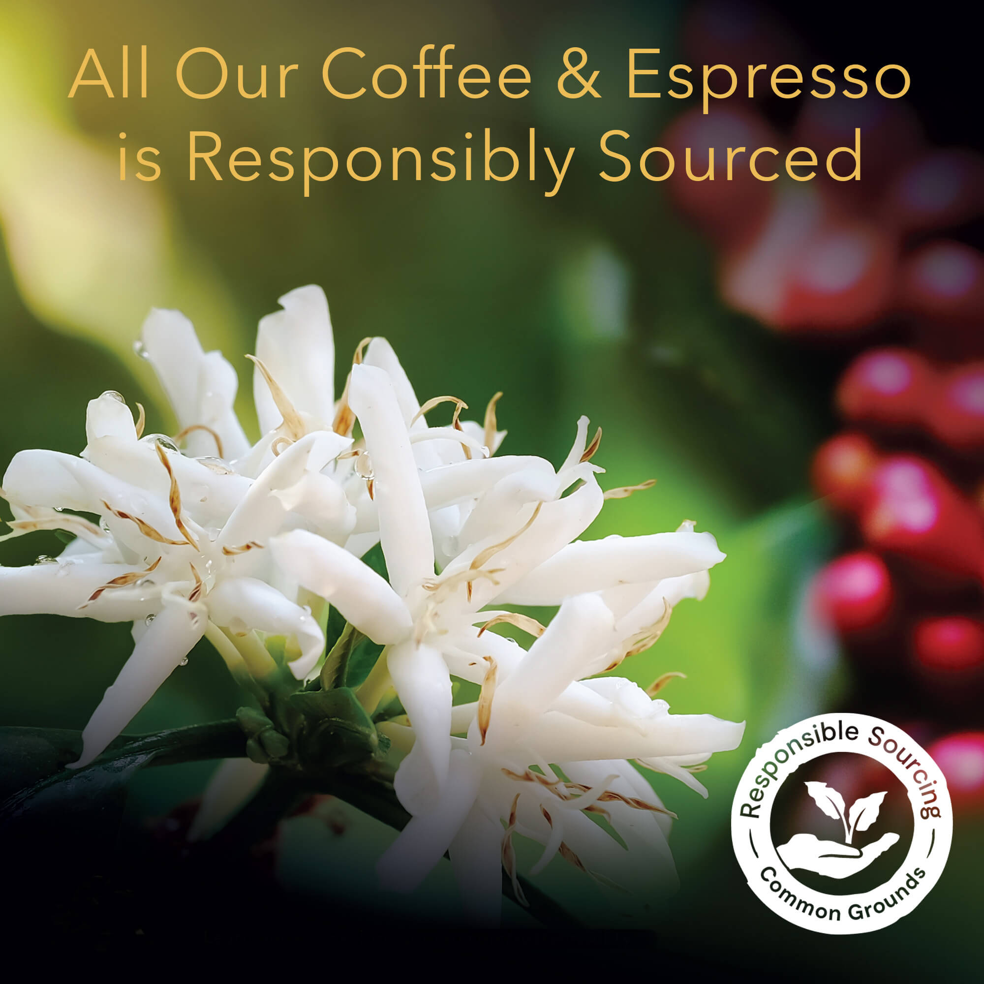 Image of Coffee Flower and Common Grounds logo denoting responsibly sourced coffee. 