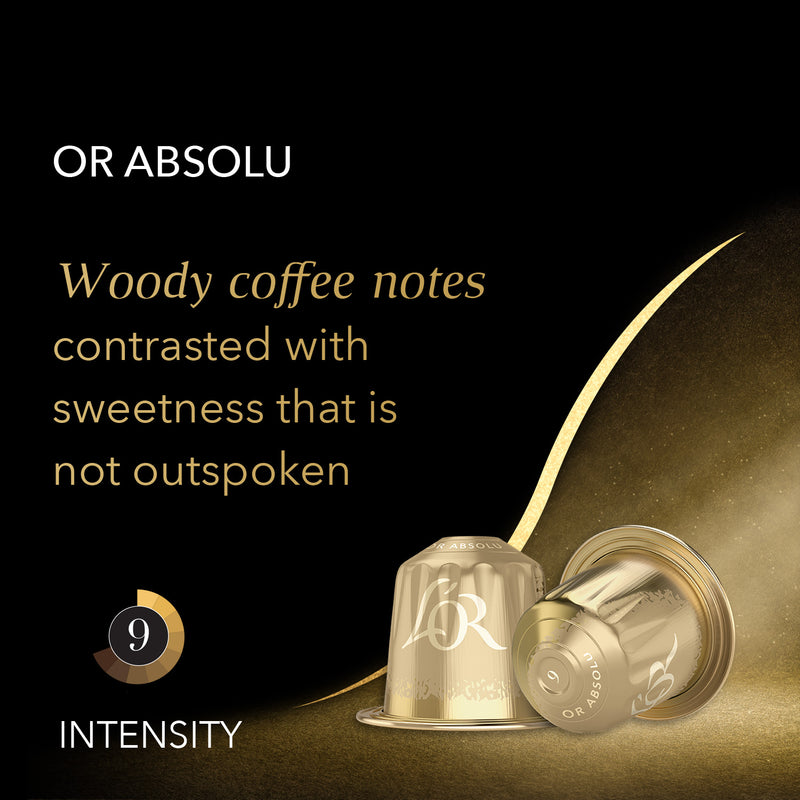 Woody coffee notes contrasted with sweetness that is not outspoken.